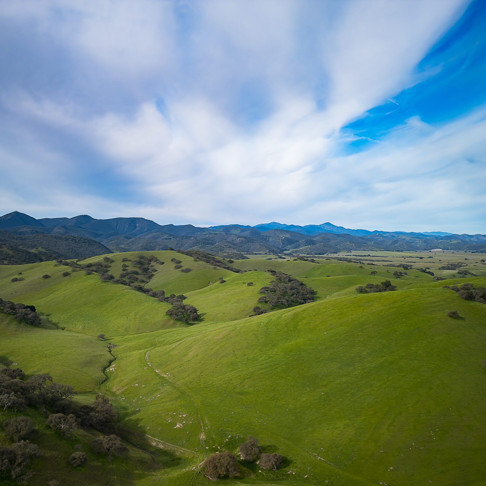 Hills above California Vinyards
