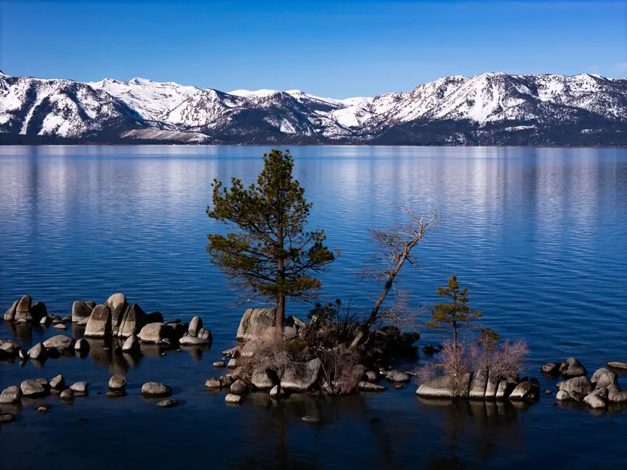 Lake Tahoe Tree Island
