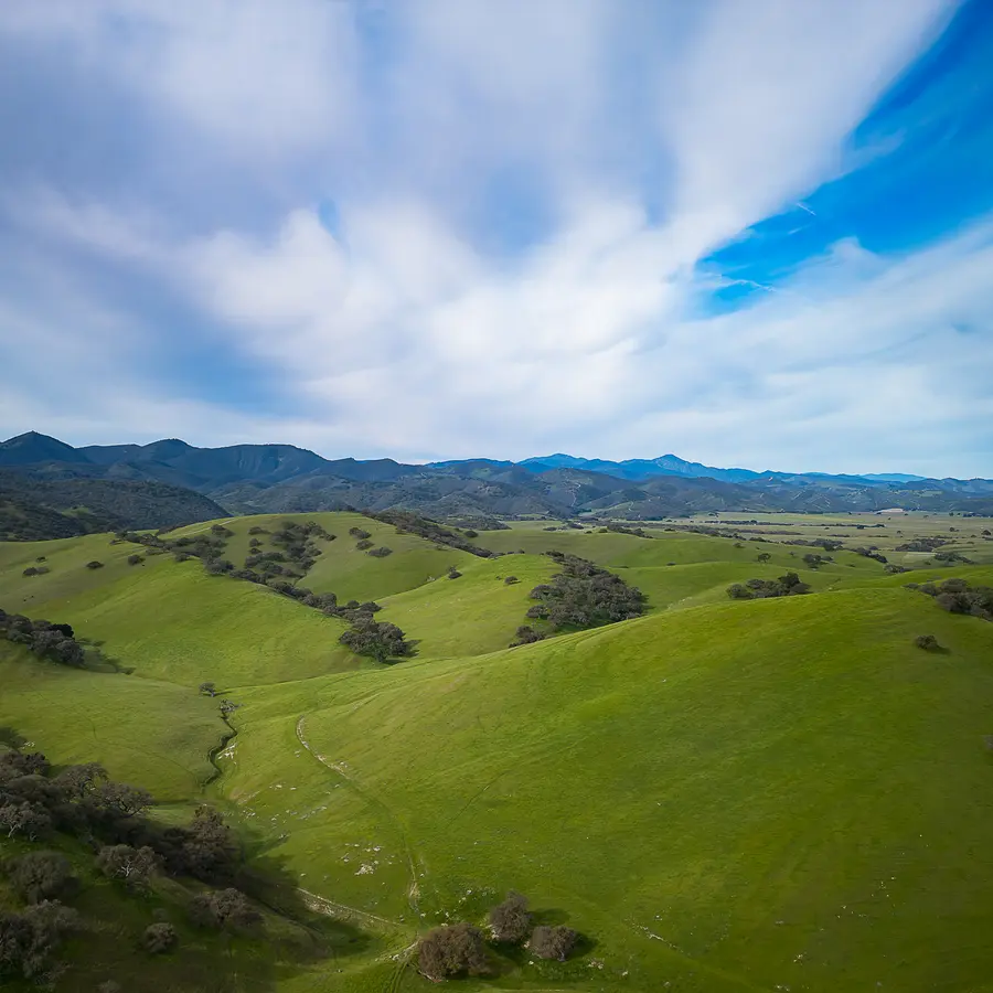 Hills of Central Cali