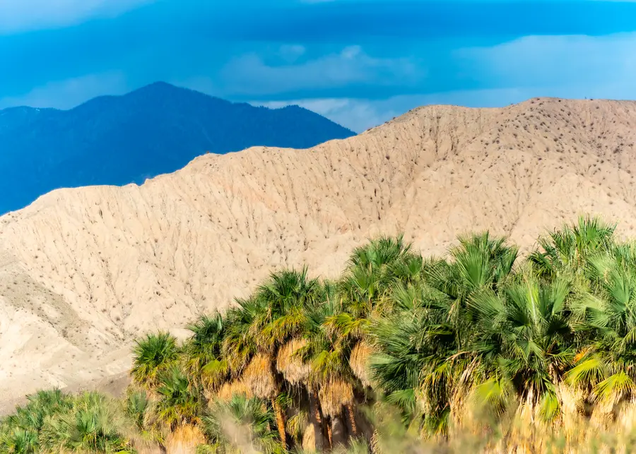 Desert Layers